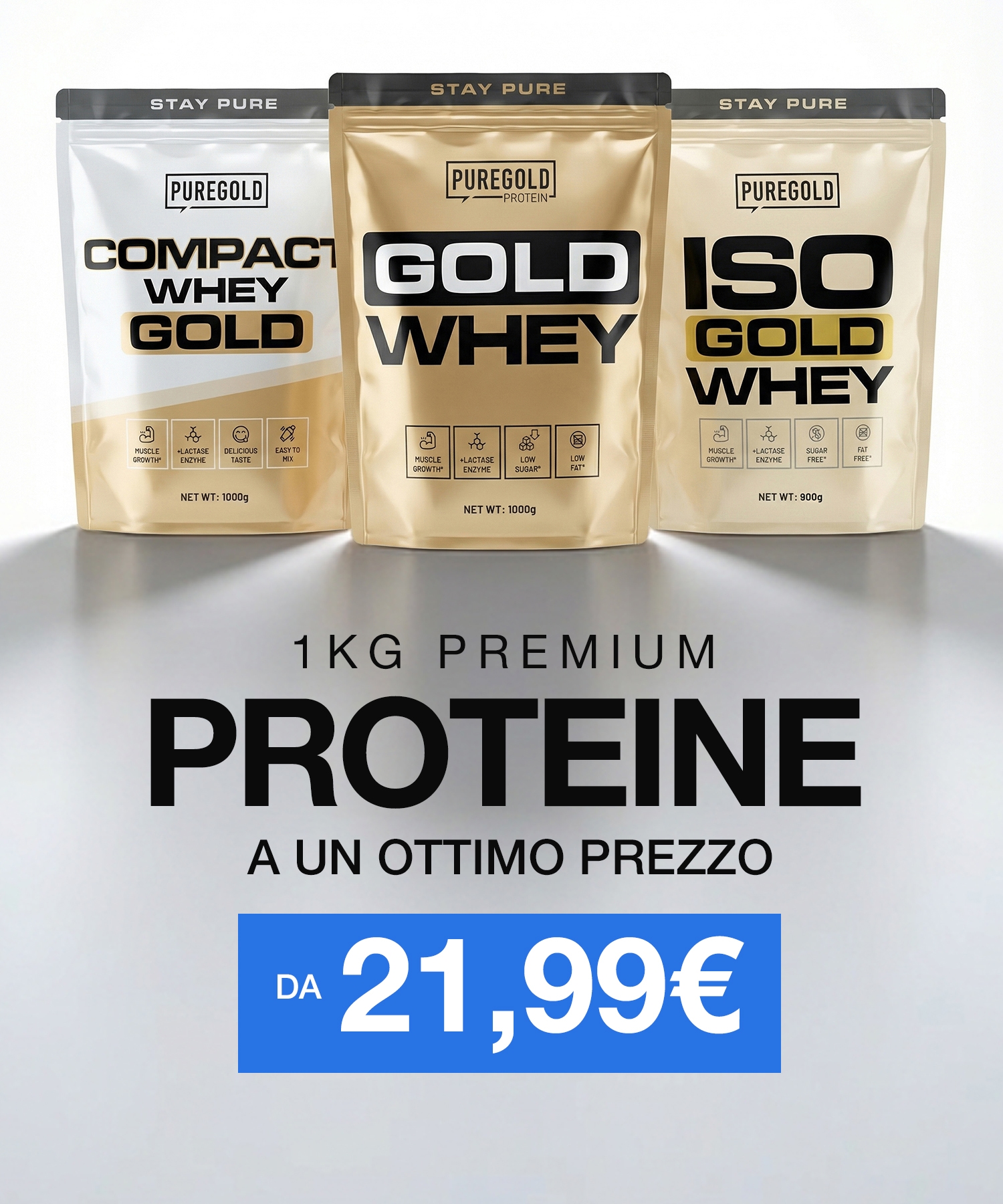 V1 - PROTEIN