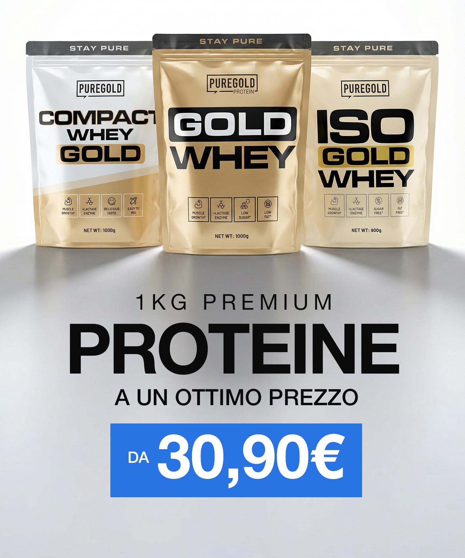 V1 - PROTEIN